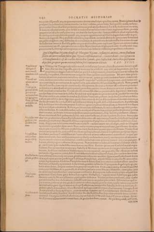 261