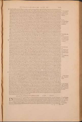 290