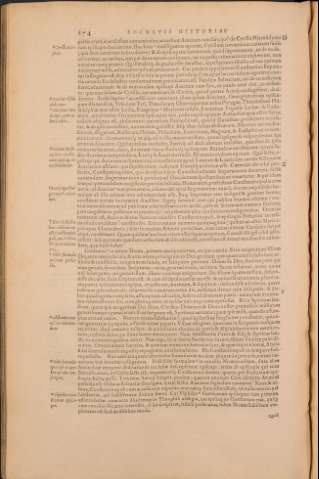 293