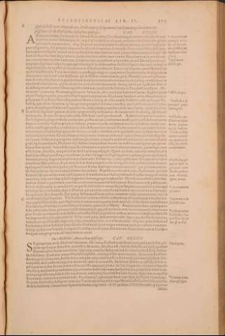 294