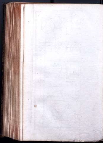 81