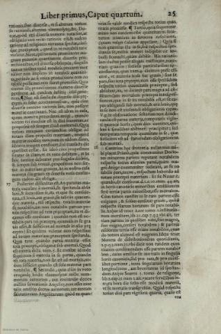 25