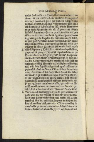 XVI v