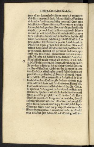 CCXXXVI v