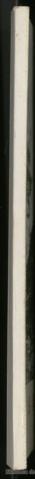 [Lombo]