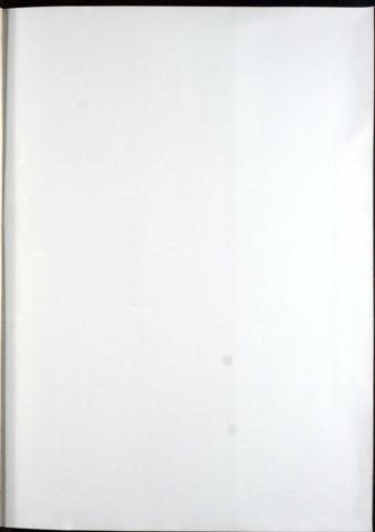 81