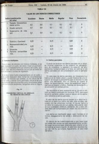 81