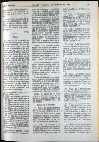31