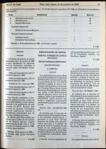 19