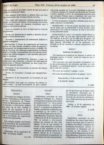 19