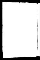 41v