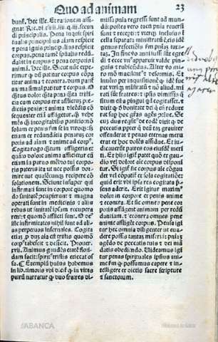 61