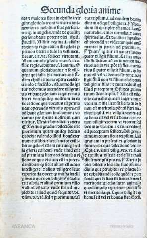 146
