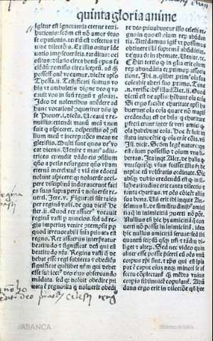 164