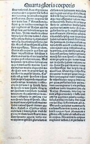 230