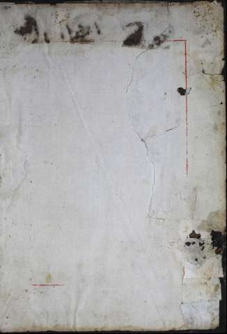 81