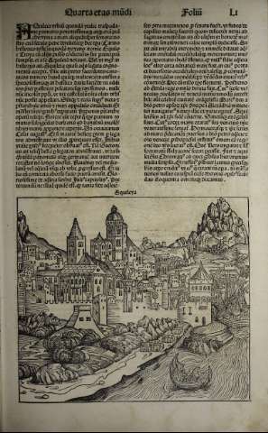 141