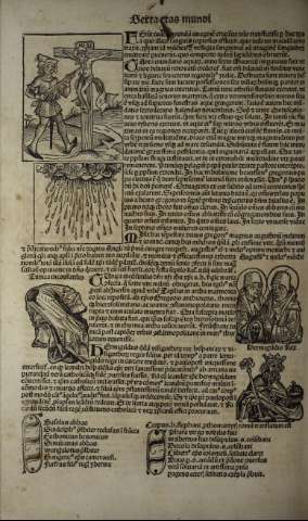 338