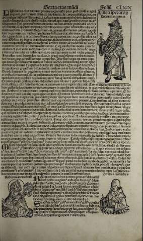 353