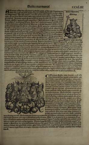 496