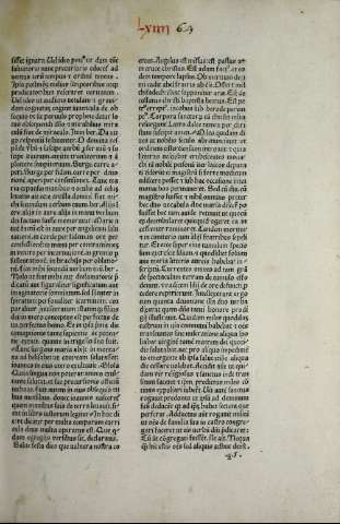 131