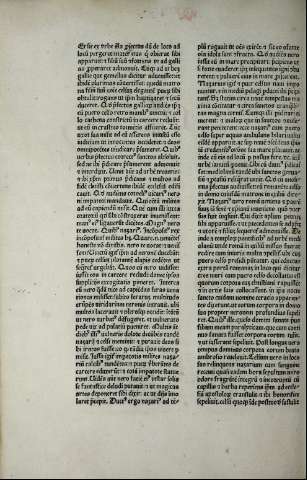 248