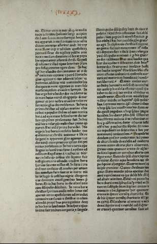 464