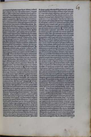 141