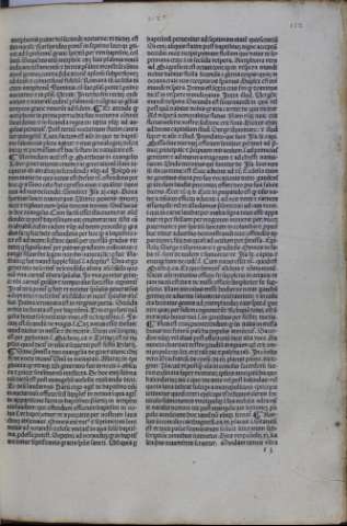 231