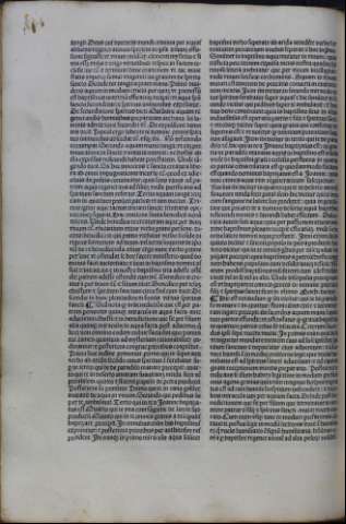 294