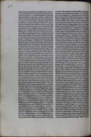 296