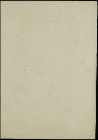 81