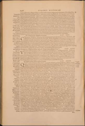 667