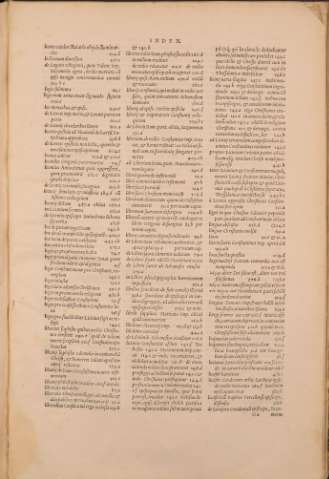 728