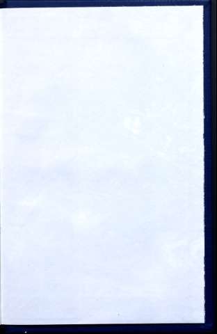 306