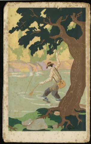 [Cuberta posterior]