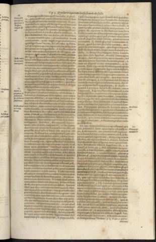 81