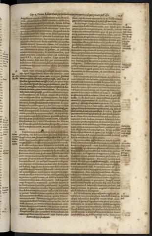 231
