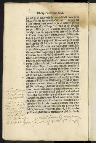 VII v