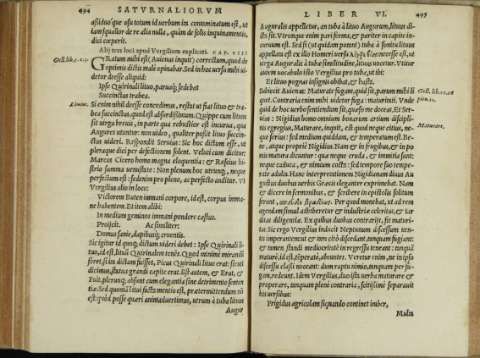 251