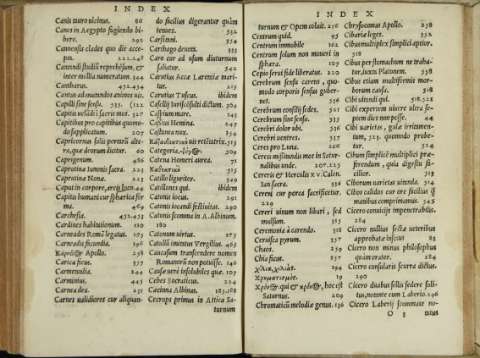 295