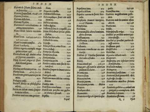 313