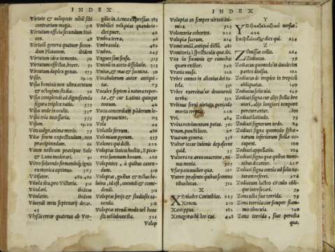 323