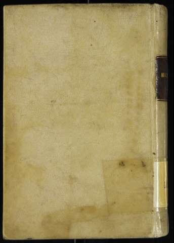 Cuberta posterior