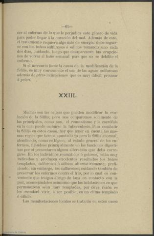 61