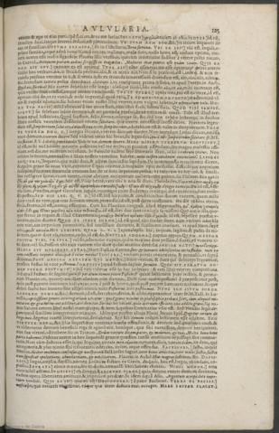 125