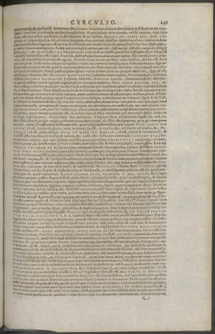 241