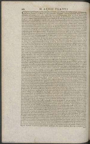 262
