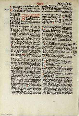 viii v