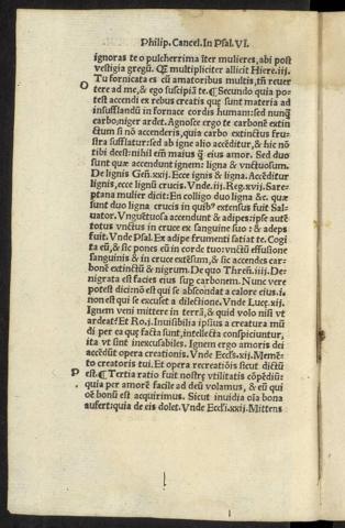 XXXVI v